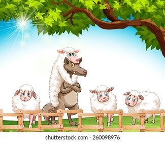 Group of sheeps with a wolf at the field