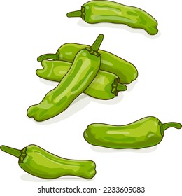 Grupo de pimienta verde shito. Capsicum annuum. Pimienta chile. Verduras ecológicas frescas. Estilo de caricatura. Ilustración vectorial aislada en fondo blanco.