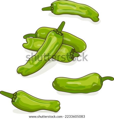Group of Shishito green pepper. Capsicum annuum. Chili pepper. Fresh organic vegetables. Cartoon style. Vector illustration isolated on white background.