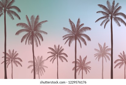 group of Silhouette palm tree on Vintage blue color sky background