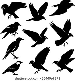 A group silhouette vectors of flying birds. These vectors are detailed and well finished. Easily can be used in vector based designing tools for various types.