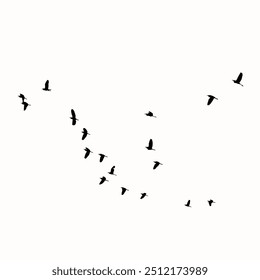 Um grupo de aves silhuetadas em voo disperso sobre um fundo branco evoca uma liberdade minimalista e serena.