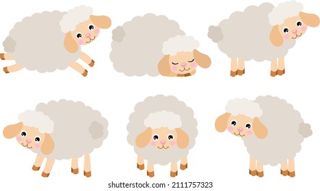 Group of six cute lamb sheeps
