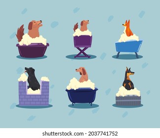 group of six dogs bathing