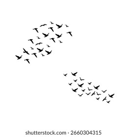 group of small birds flying in coordinated motion, rendered in clean vector lines to reflect unity, direction, and natural freedom.