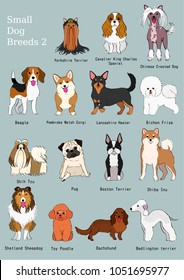 group of small dogs breeds hand drawn