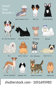 group of small dogs breeds hand drawn