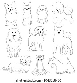group small dogs hand drawn