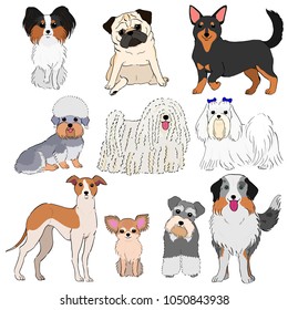 group of small dogs hand drawn