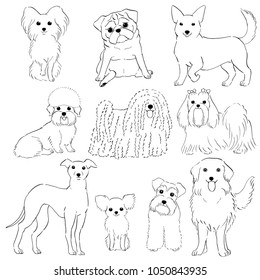 group of small dogs line art hand drawn