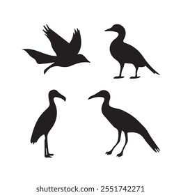 Group of some birds vector silhouette.