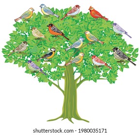 a group of songbirds on a tree