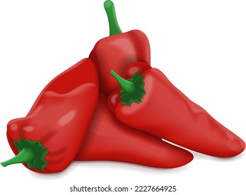 Group of Spanish Piquillo peppers. Pimiento pepper. Pimiento del piquillo. Capsicum annuum. Red chili pepper. Fresh organic vegetables. Vector illustration isolated on white background.