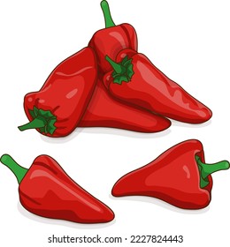 Group of Spanish Piquillo peppers. Pimiento pepper. Pimiento del piquillo. Capsicum annuum. Red chili pepper. Fresh organic vegetables. Vector illustration isolated on white background.