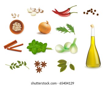 Group of spices. Vector illustration.