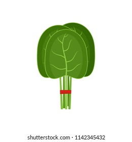 Group of spinach leaves icon. Flat illustration of group of spinach leaves vector icon for web isolated on white