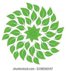 Group of spreading leaves abstract design on white background, a green leaves whirling, green leaf texture template in vector, illustration