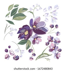 A group of spring flowers to create floral arrangements in lilac pink colors