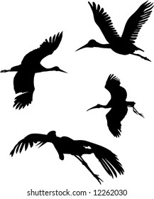 group of storks flying the sky