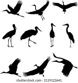 Group of storks Silhouette , Silhouette of crane birds or herons flying and standing set. 