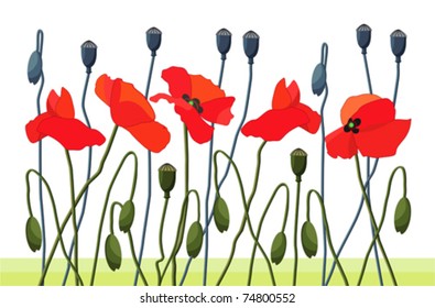 Group of stylized field poppies.