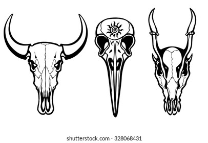 Group of the stylized skulls of fantastic animals. Isolated on a transparent background.