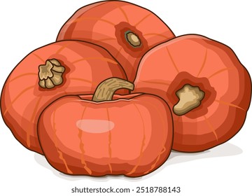 Group of Sunshine kabocha squash. Winter squash. Cucurbita maxima. Vegetables. Clip art. Isolated vector illustration.