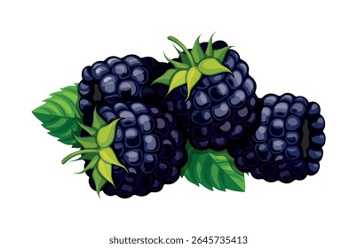 Grupo de amoras doces em estilo cartoon. Ilustração vetorial de amoras frescas e suculentas isoladas sobre fundo branco. Comida saudável. Bagas nutritivas sazonais.