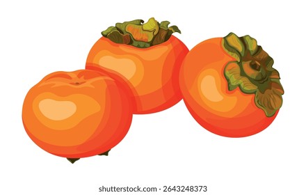 Grupo de doces, suculentos caquis em estilo cartoon. Ilustração vetorial de frutos frescos de caquis inteiros isolados sobre um fundo branco. Composição de caquis tropicais alaranjados com folhas verdes.