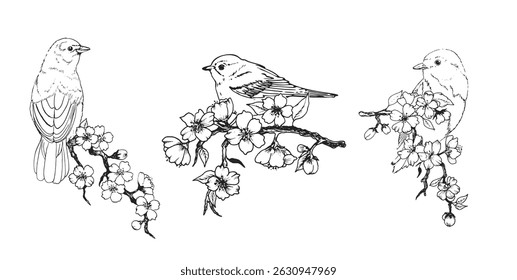 A group of three birds is on the branch. Hand-drawing vector image on white background. 