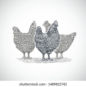 Grupo de tres pollos, en estilo gráfico (grabado).