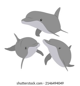 A group of three Common bottlenose dolphins swim in the water. Realistic vector animal