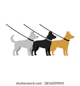 A group of three diverse dogs in white black and tan colors standing side by side on leashes. Perfect for pet care services, animal training, or walking concepts.