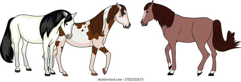 A group of three horses isolated on white background