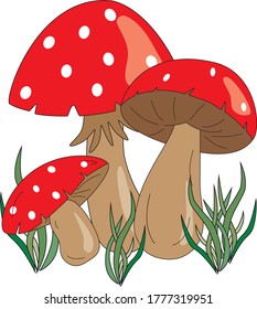 Group of three Magic Red Cap Mushrooms with grass.  Vector Illustration
