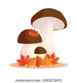 A group of three mushrooms with brown caps and white stems is located on a litter of colorful autumn leaves.