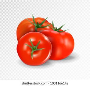 Group of three realistic tomatoes isolated on a transparent background. Vector illustration..