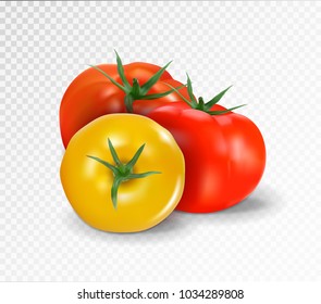 Group of three realistic tomatoes isolated on a transparent background. Red and yellow tomato set. Vector 3d illustration.