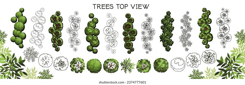 Grupo de árboles para planos de pisos arquitectónicos. Diseño de Entourage. Varios árboles, arbustos y arbustos, dan a la planta de diseño del paisaje. Ilustración vectorial.