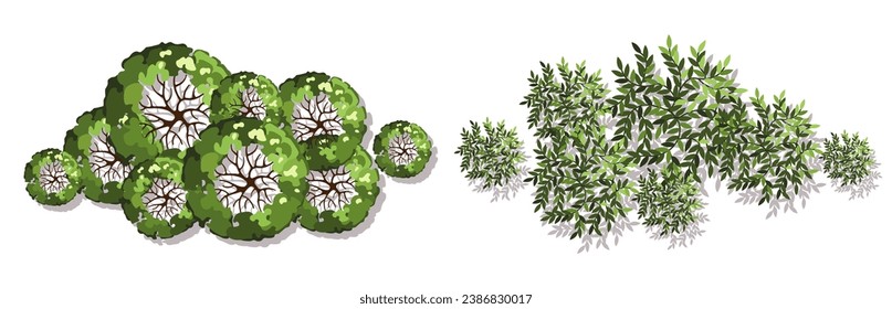 Grupo de árboles para planos de pisos arquitectónicos. Diseño de Entourage. Varios árboles, arbustos y arbustos, dan a la planta de diseño del paisaje. Ilustración vectorial.