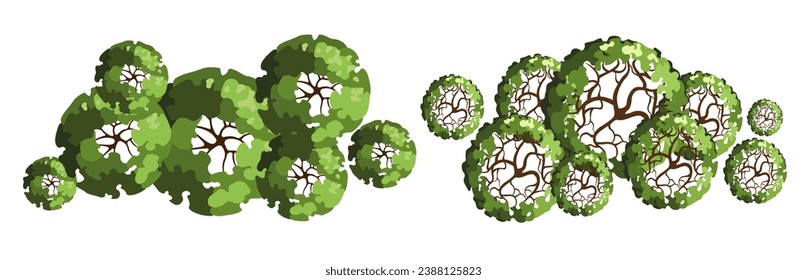 Grupo de árboles para planos de pisos arquitectónicos. Diseño de Entourage. Varios árboles, arbustos y arbustos, dan a la planta de diseño del paisaje. Ilustración vectorial.