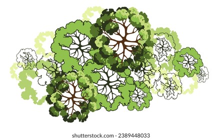 Group of trees for architectural floor plans. Entourage design. Various trees, bushes, and shrubs, top view for the landscape design plan. Vector illustration.