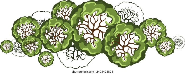 Group of trees for architectural floor plans. Entourage design. Various trees, bushes, and shrubs, top view for the landscape design plan. Vector illustration.