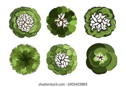 Group of trees for architectural floor plans. Entourage design. Various trees, bushes, and shrubs, top view for the landscape design plan. Vector illustration.