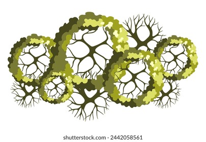 Grupo de árboles para planos arquitectónicos. Diseño de séquito. Varios árboles, arbustos y arbustos, vista superior para el plan de diseño del paisaje. Ilustración vectorial.