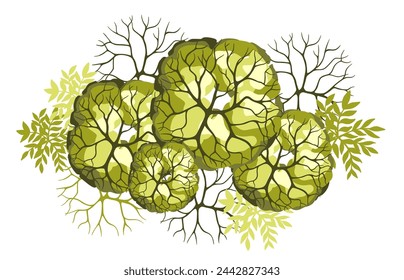 Group of trees for architectural floor plans. Entourage design. Various trees, bushes, and shrubs, top view for the landscape design plan. Vector illustration.