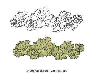 Group trees architectural top view. Bushes and trees with green leaves. Hand drawn sketch. Template for creating forests and gardens. Flat vector illustration isolated on white background