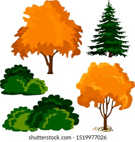 
group of trees and bushes