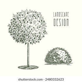 Grupo de árboles. Árbol de hoja caduca y arbusto Pequeño con gráficos de tinta. Pictogramas de Planes generales y dendroplanos en diseño paisajístico en estilo boceto. Aislado sobre fondo blanco. Vector.