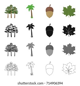 A group of trees in the forest, a palm tree, an acorn, a maple leaf. Forest set collection icons in cartoon black monochrome outline style vector symbol stock illustration web.